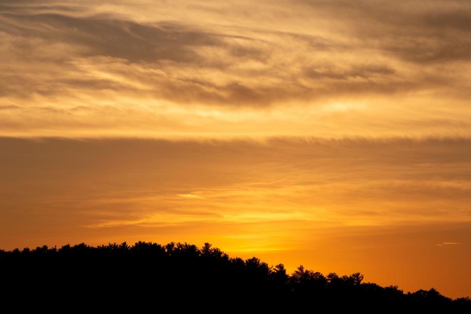 Free Image of Stunning sunset with warm hues over trees 