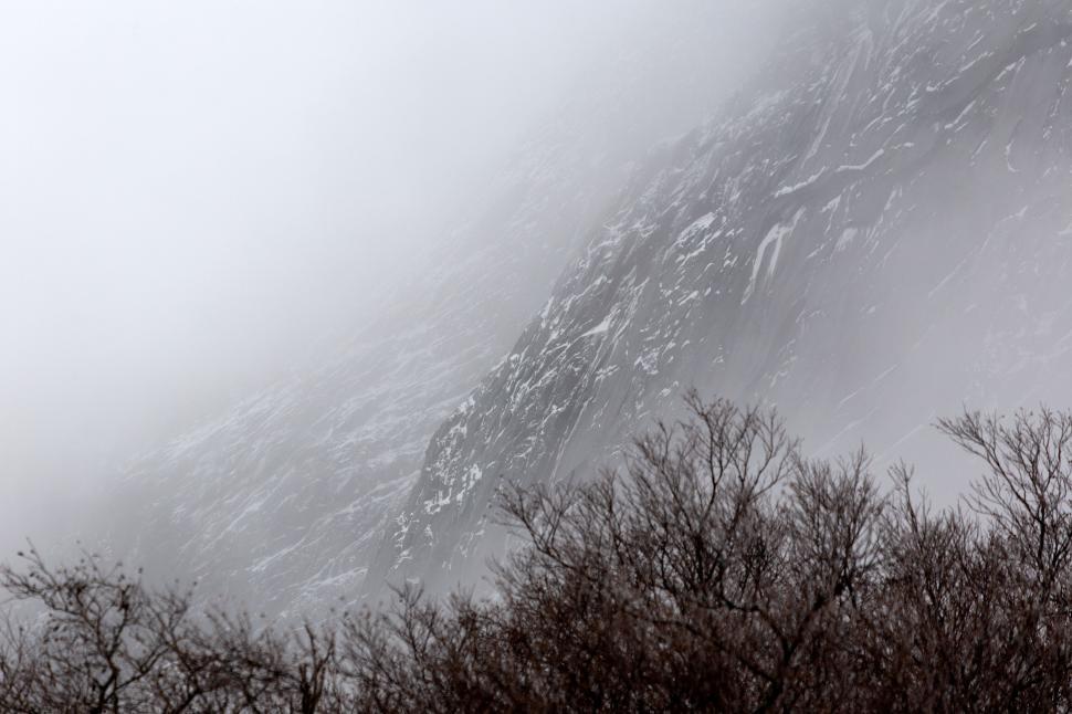 Free Image of Snow-dusted mountain slope in fog 