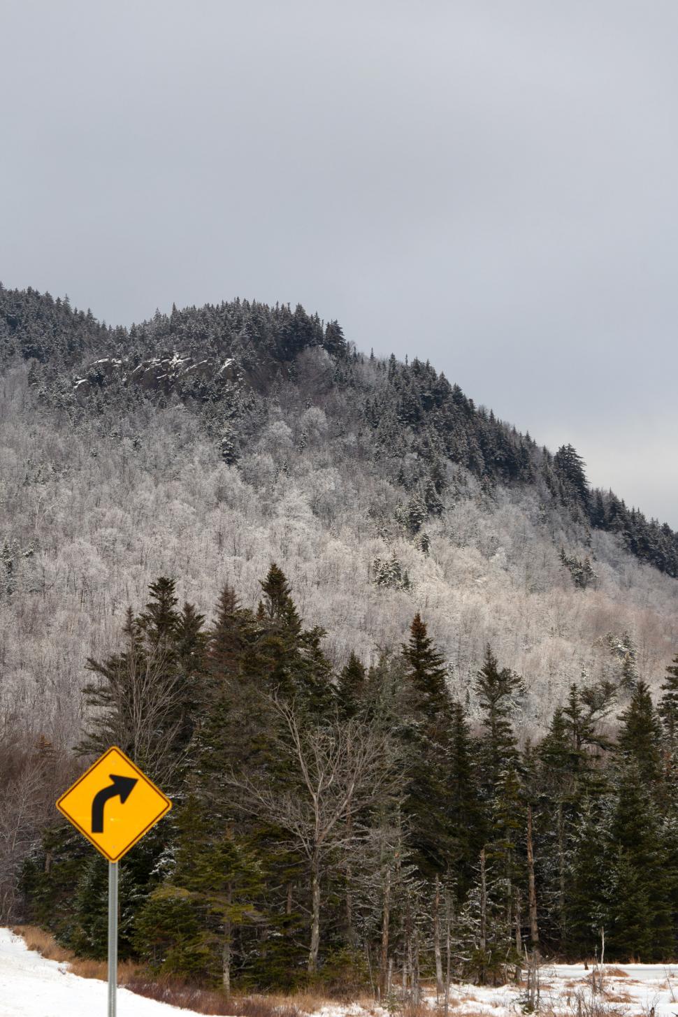 Free Image of Winter road with a winding road sign 