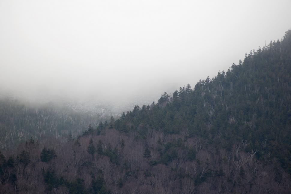 Free Image of Misty mountain landscape with dense forest 