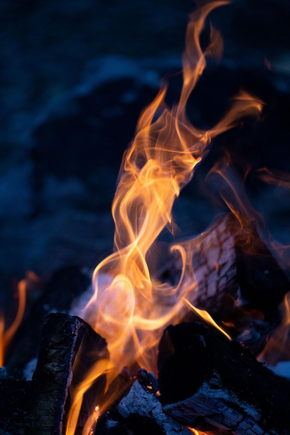 Free Image of Vivid flames dancing in a campfire 