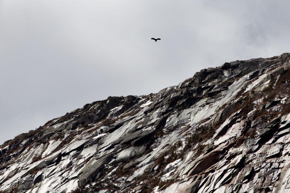 Free Image of Solitary bird flying over rugged mountains 