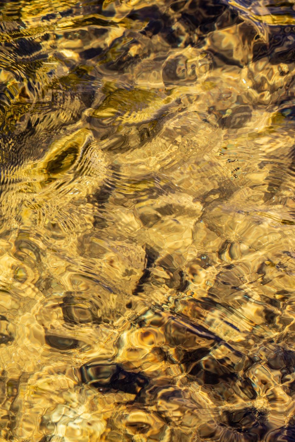 Free Image of Ripples on clear water with golden light 