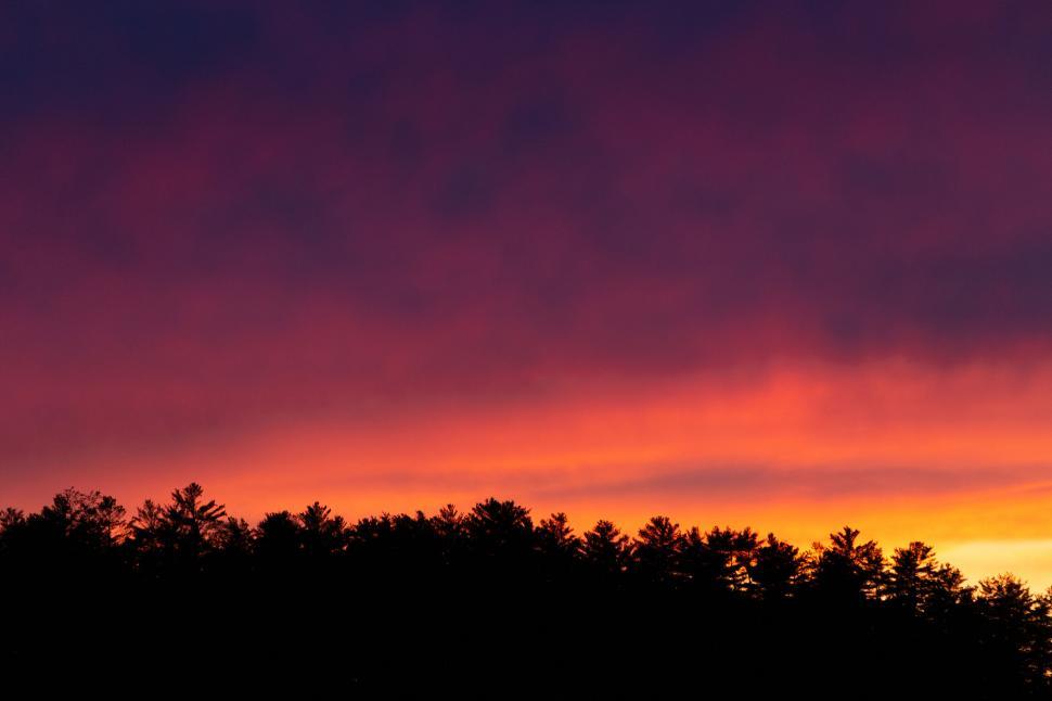 Free Image of Vibrant sunset over silhouetted forest line 