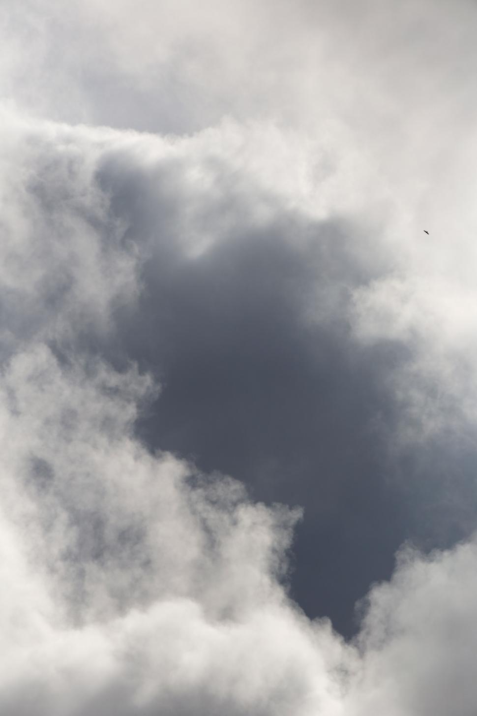 Free Image of Dark clouds with a bird flying high 