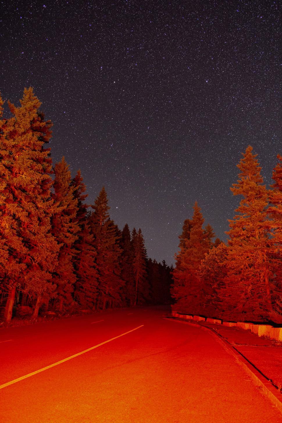 Free Image of Red Tinted Night Road among Trees 