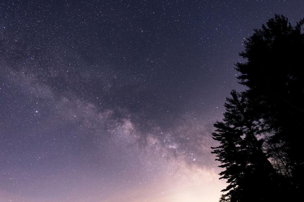 Free Image of Night sky with stars and a silhouette of trees 