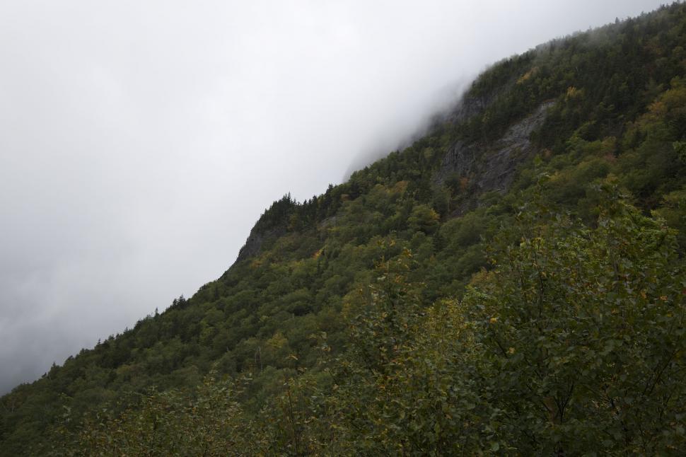 Free Image of Misty mountain landscape with dense forests 