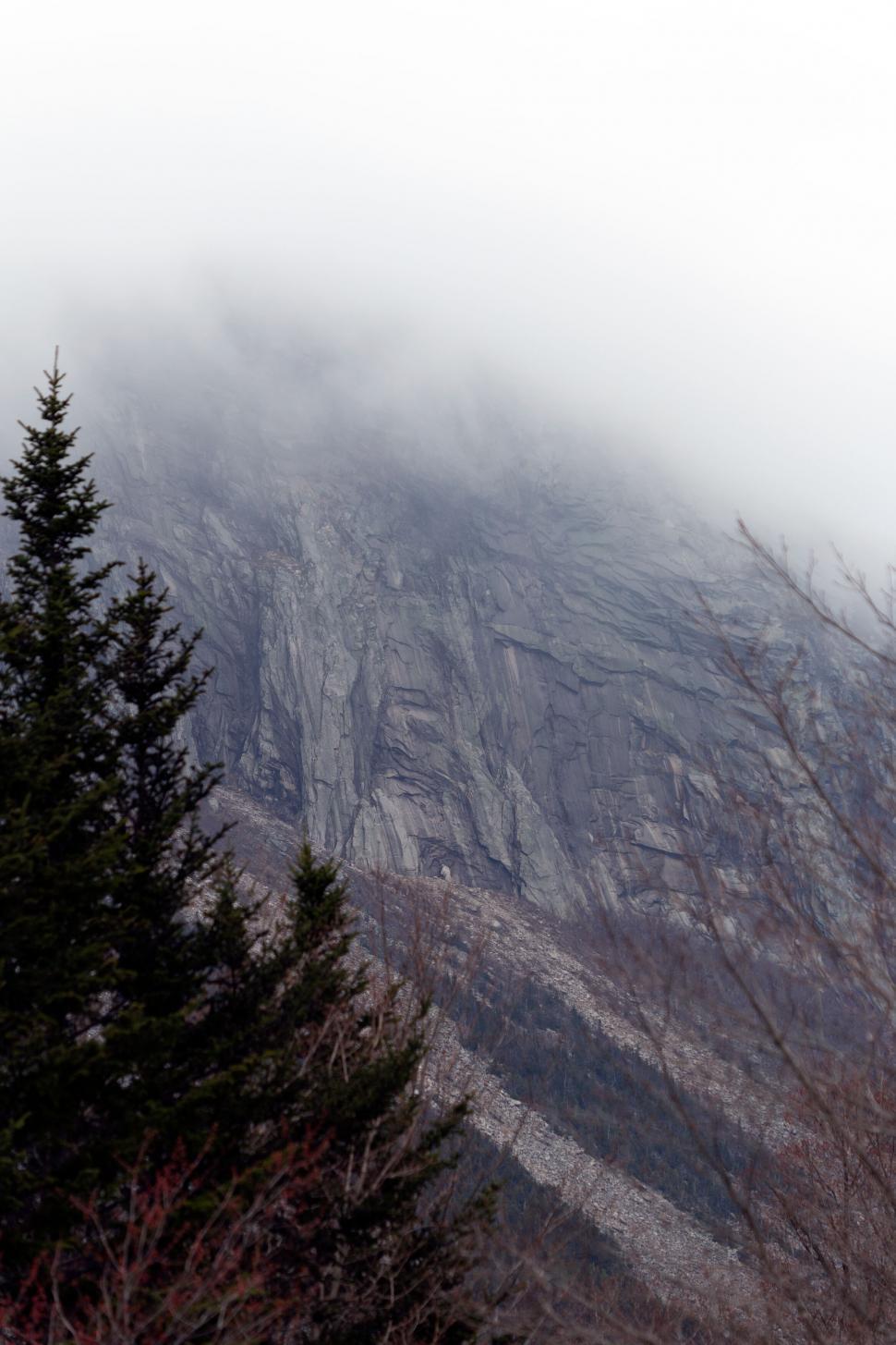 Free Image of Misty mountain cliff with trees 