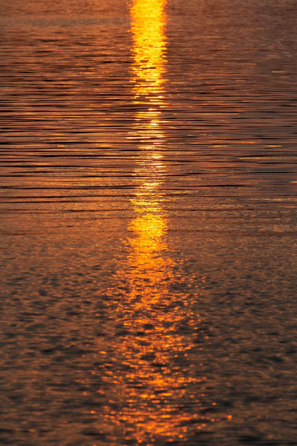 Free Image of Golden Reflection on Calm Water 