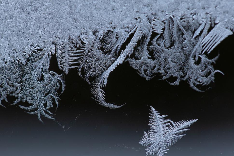 Free Image of Intricate frost patterns on edge 