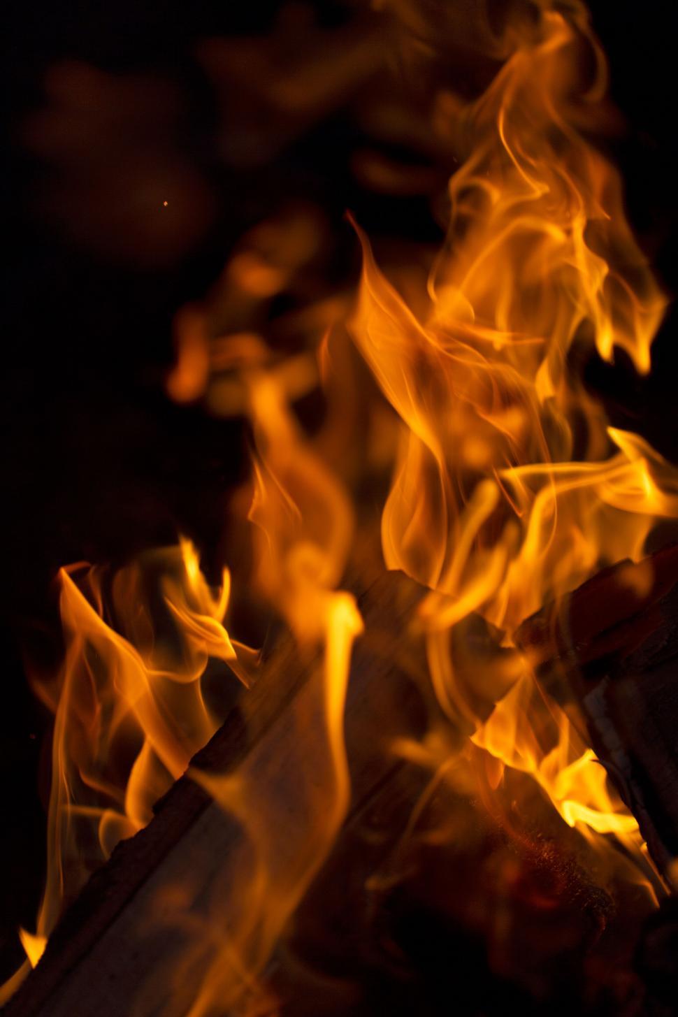 Free Image of Dynamic close-up shot of crackling fire 