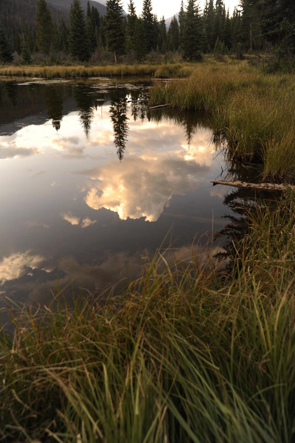 Free Image of Lake and Grass  