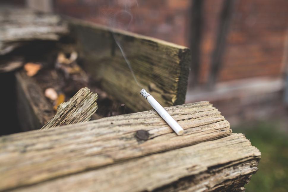 Free Image of Lit cigarette on wooden beam in nature 