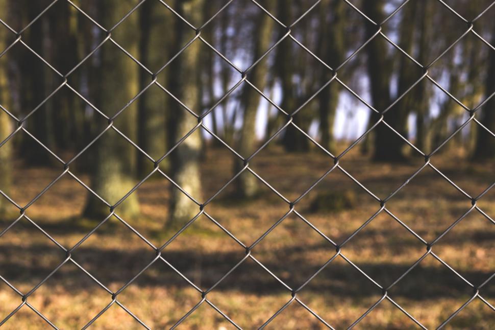 Free Image of Forest scene seen through chain-link fence 