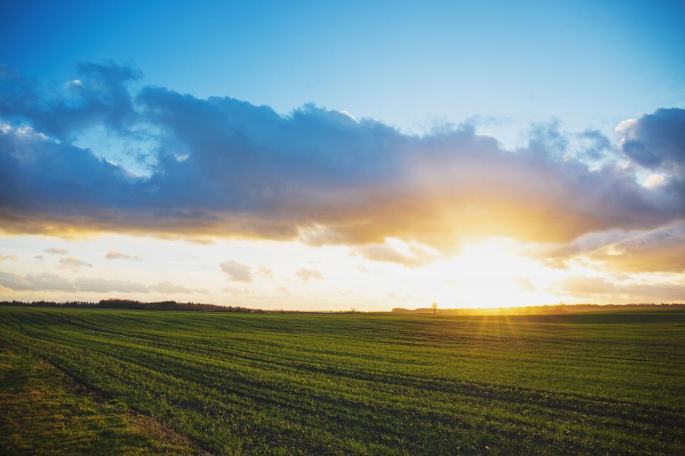 Free Image of Breathtaking sunrise over a lush green field 