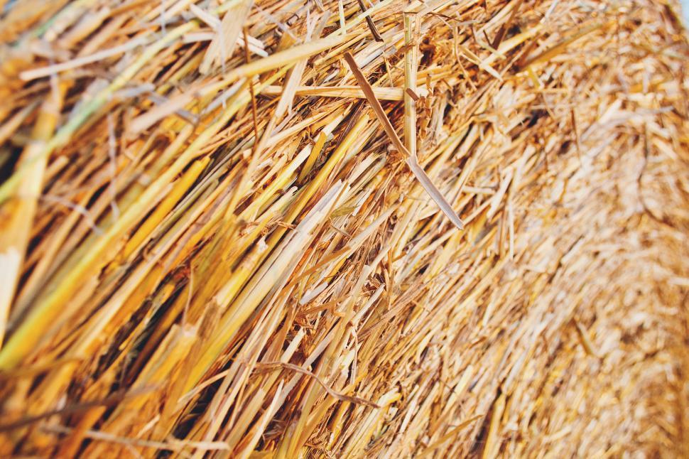Free Image of Textured view of a hay bale close-up 