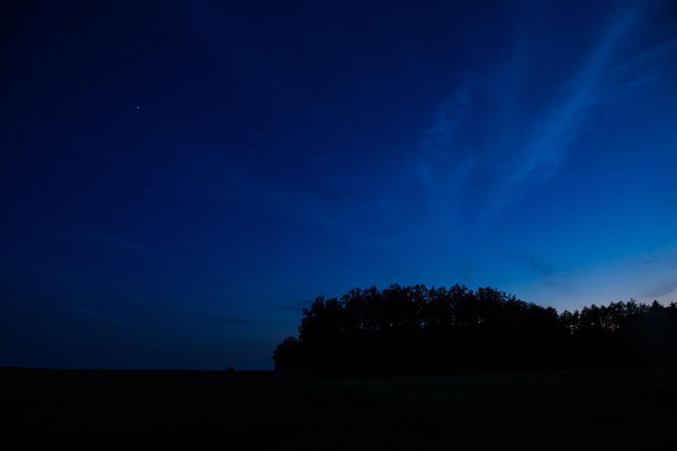 Free Image of Night landscape with silhouetted trees under dark sky 