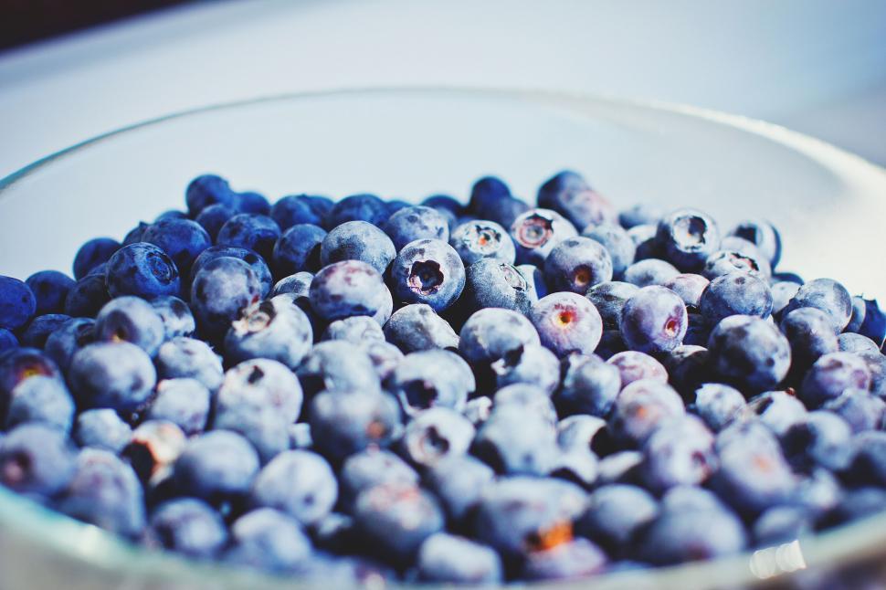 Free Image of Close-up of blueberries in a white bowl 