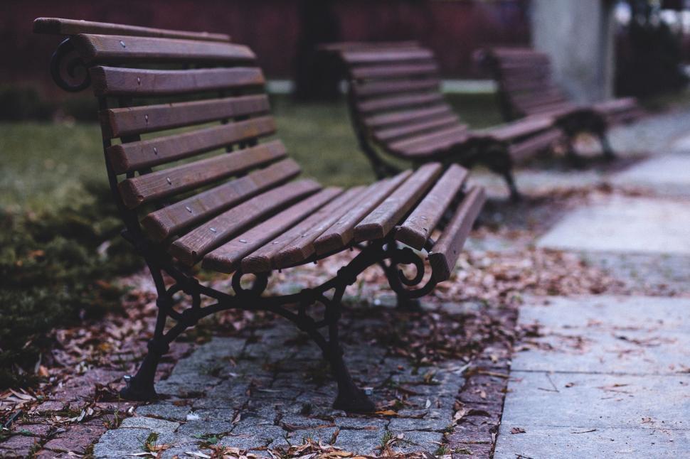 Free Image of Wooden bench in a tranquil park setting 