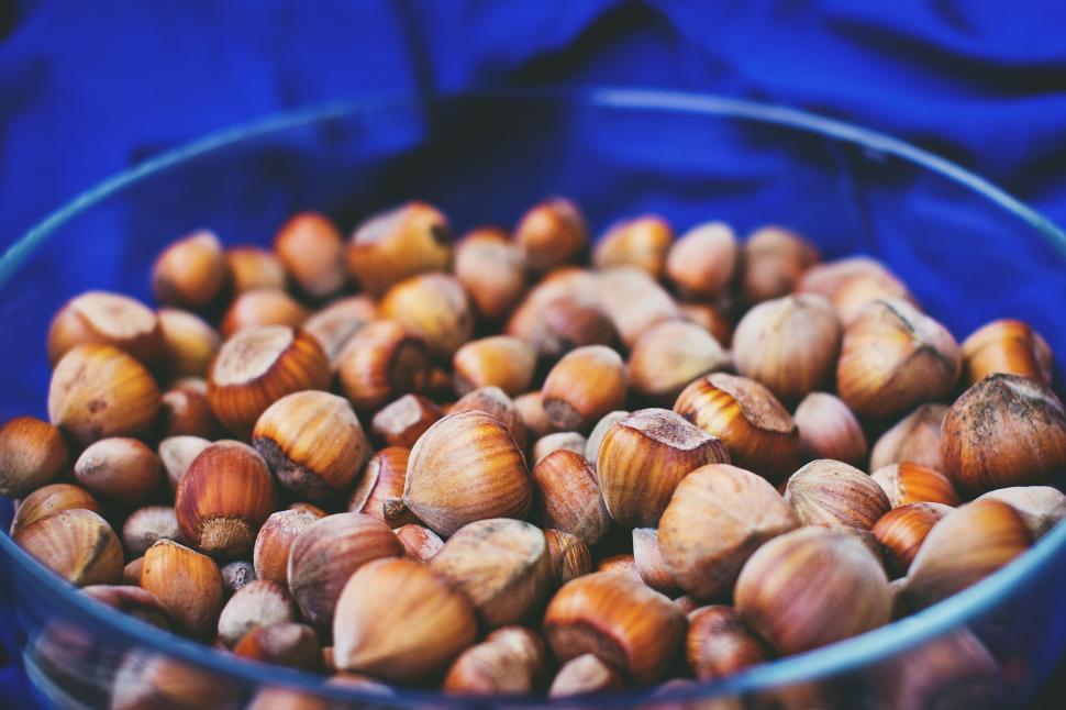 Free Image of Bowl of hazelnuts in vibrant blue 