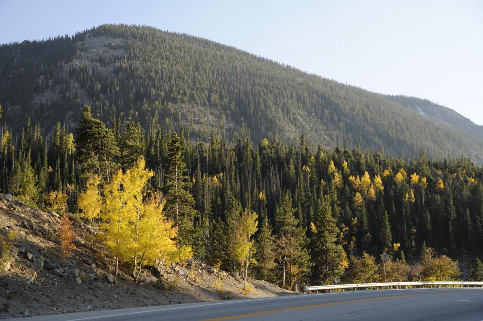 Free Image of Road with trees and mountain 