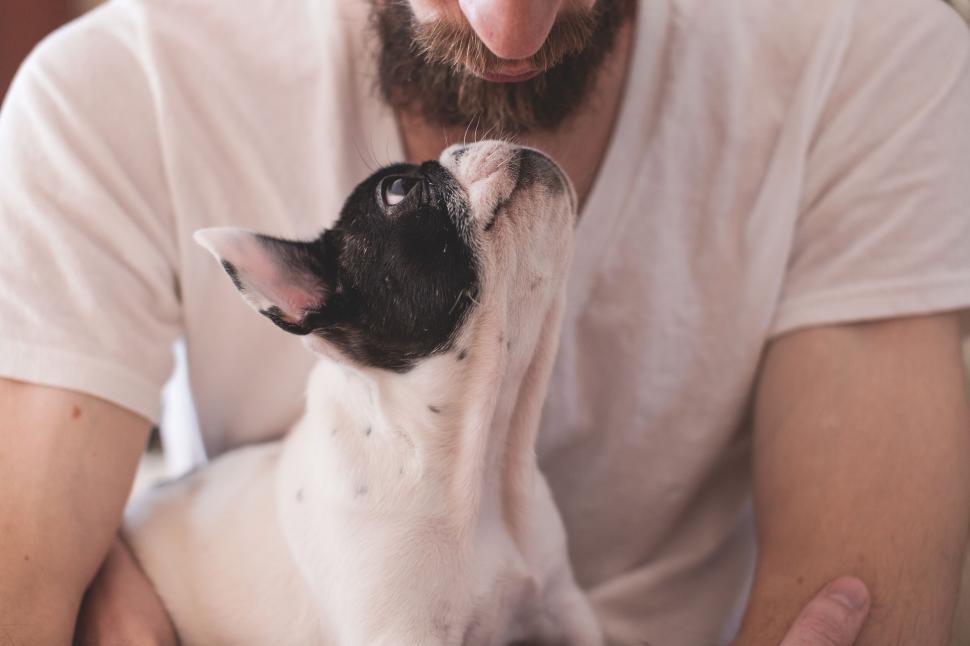 Free Image of Bearded Man Embracing a Cute French Bulldog 