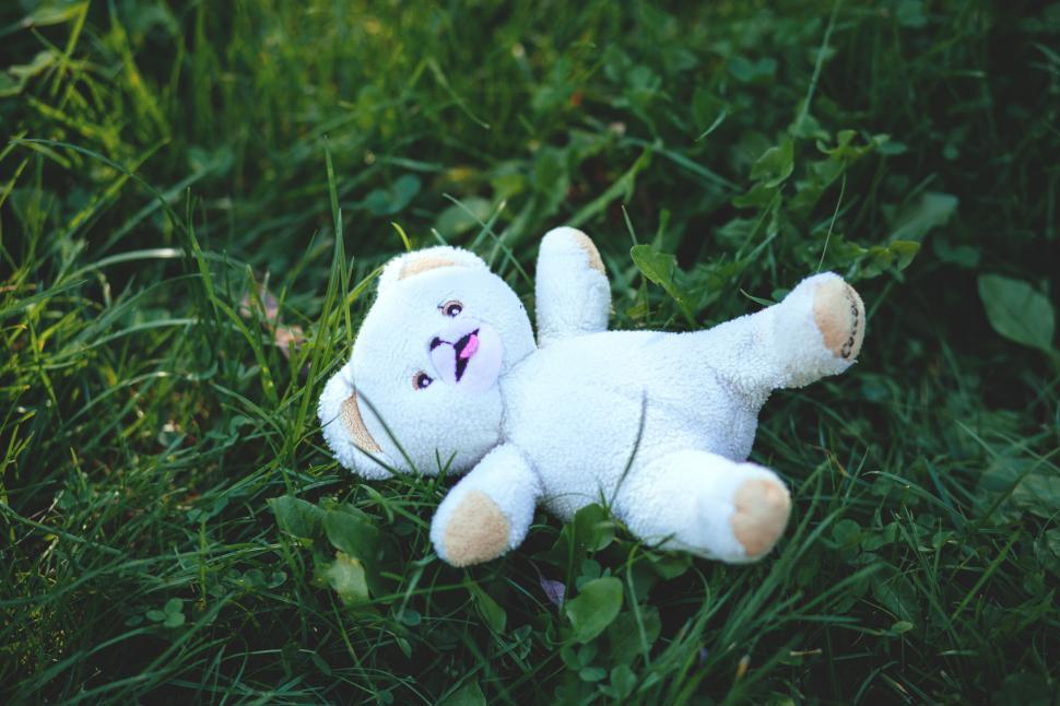 Free Image of Plush bear toy lying on grass 