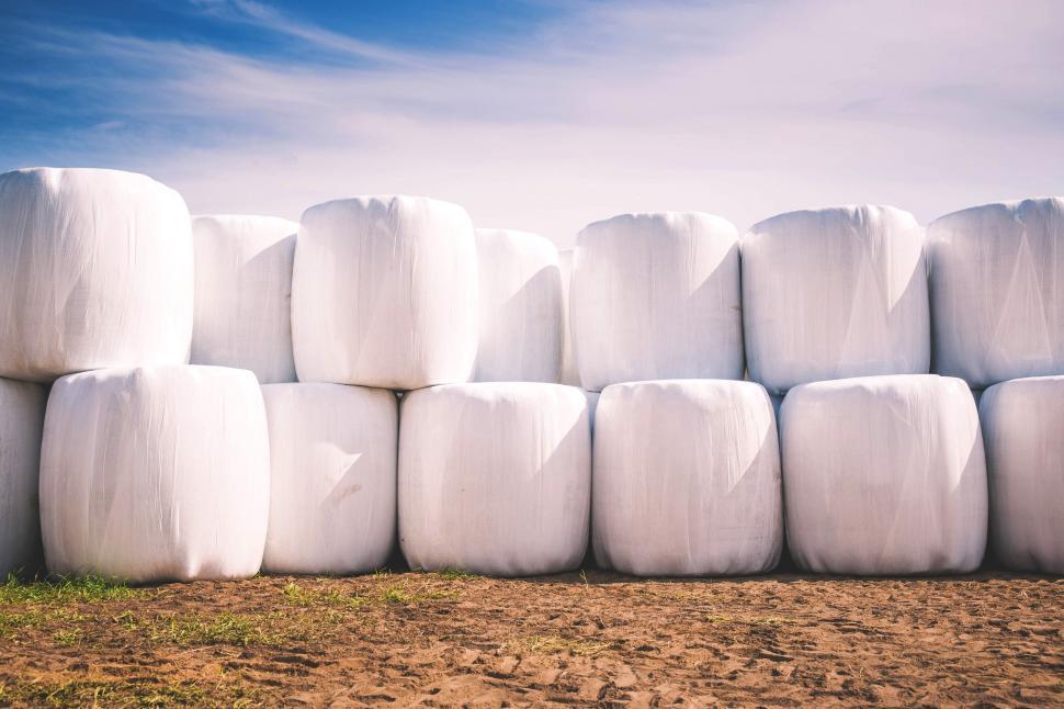 Free Image of Hay bales wrapped in white plastic 