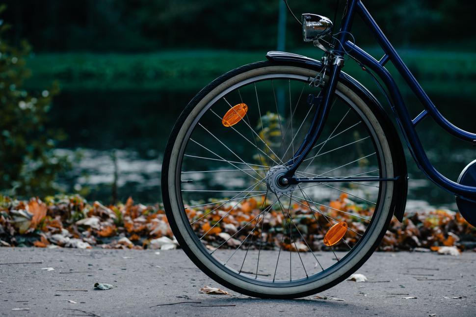 Free Image of Bicycle wheel on a leaf-strewn path 
