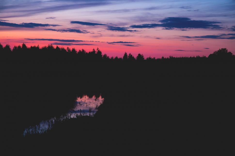 Free Image of Vibrant sunset over tranquil forest silhouette 