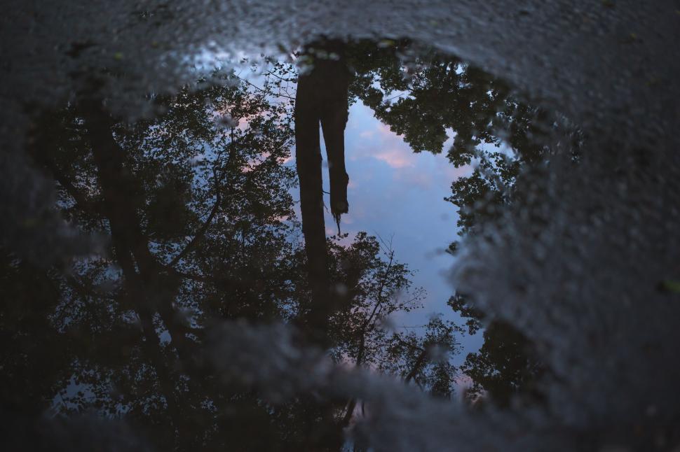 Free Image of Reflection of a person in a puddle with trees 