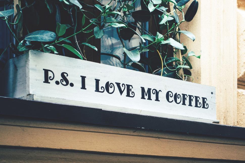 Free Image of Quirky coffee sign on a greenery background 
