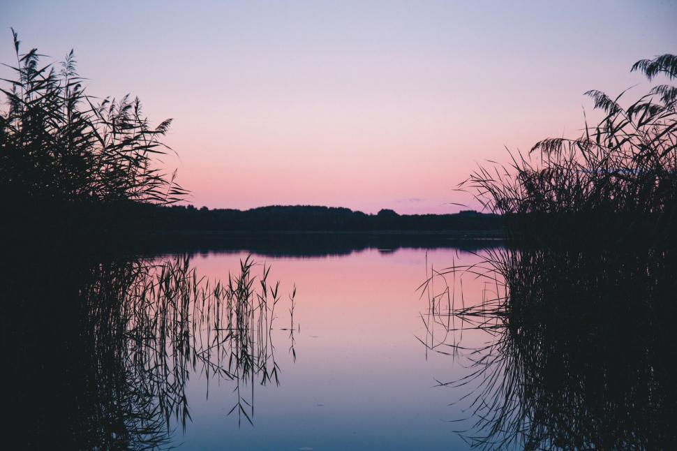 Free Image of Tranquil lake scene at dusk with reeds 