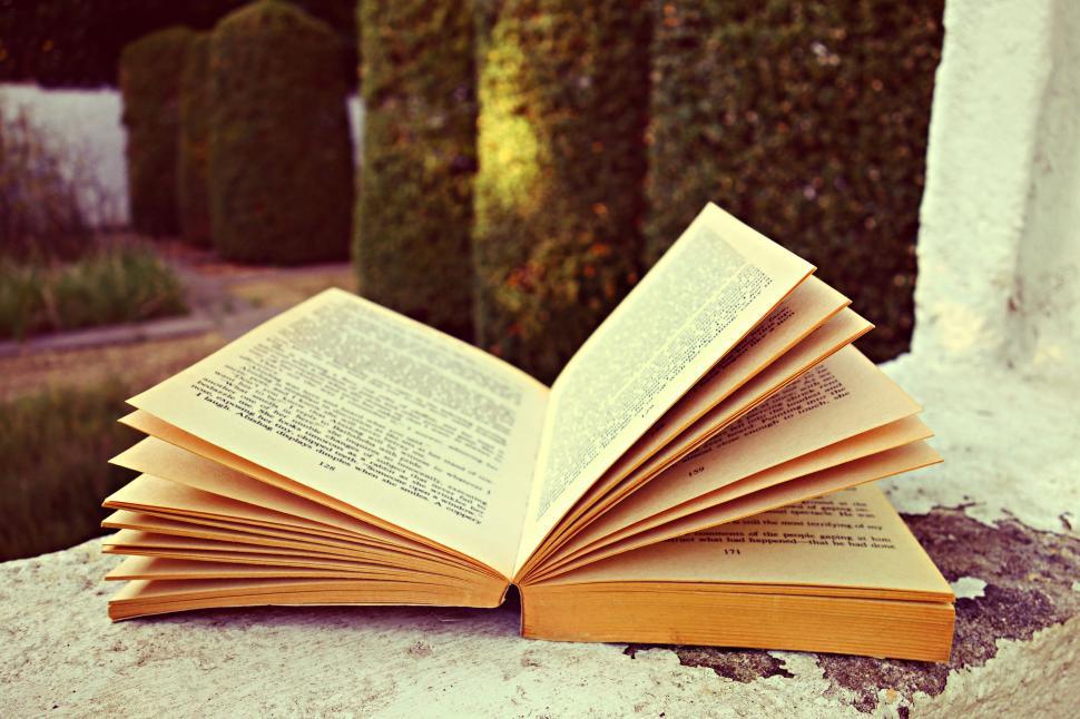 Free Image of Open book on a wall in soft sunlight 