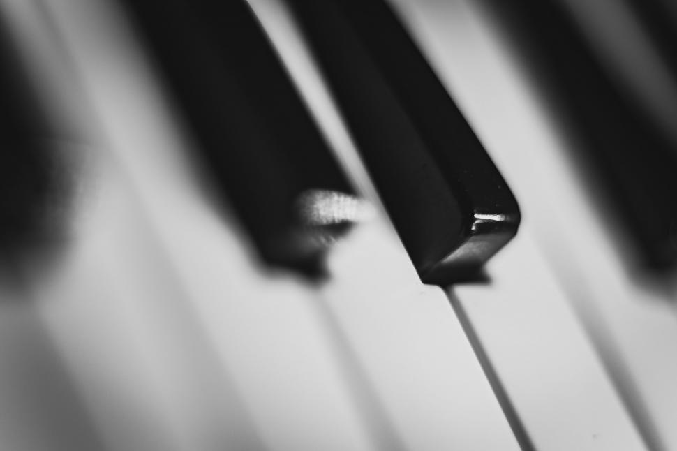 Free Image of Black and white piano keys close-up 