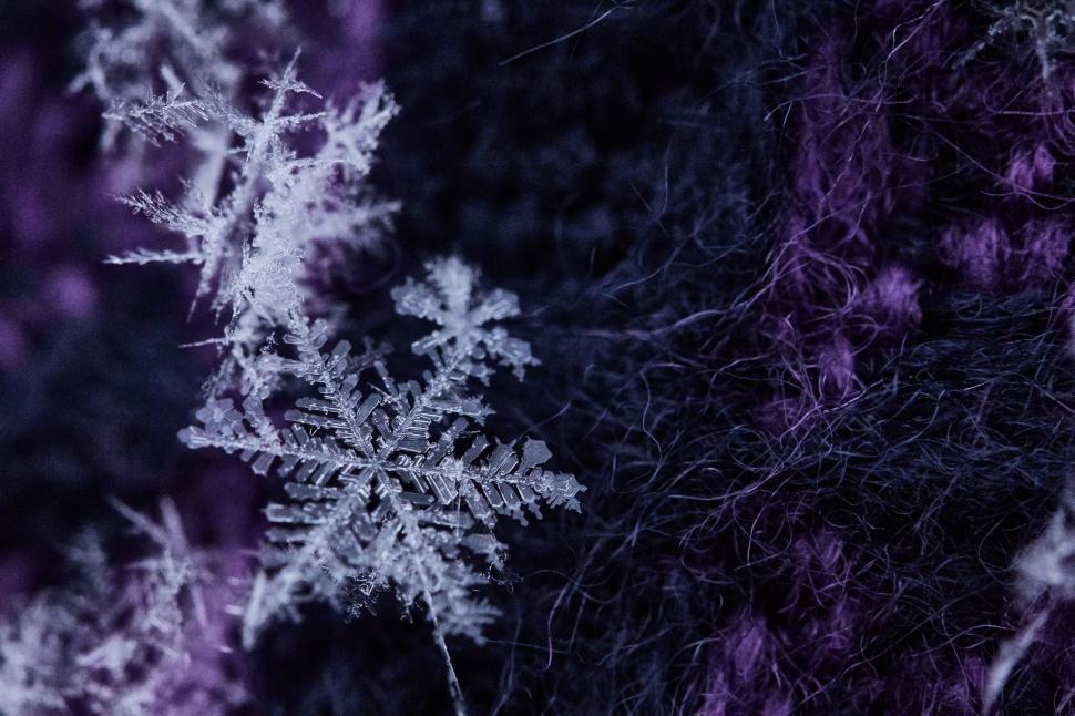 Free Image of Intricate snowflake on purple background 