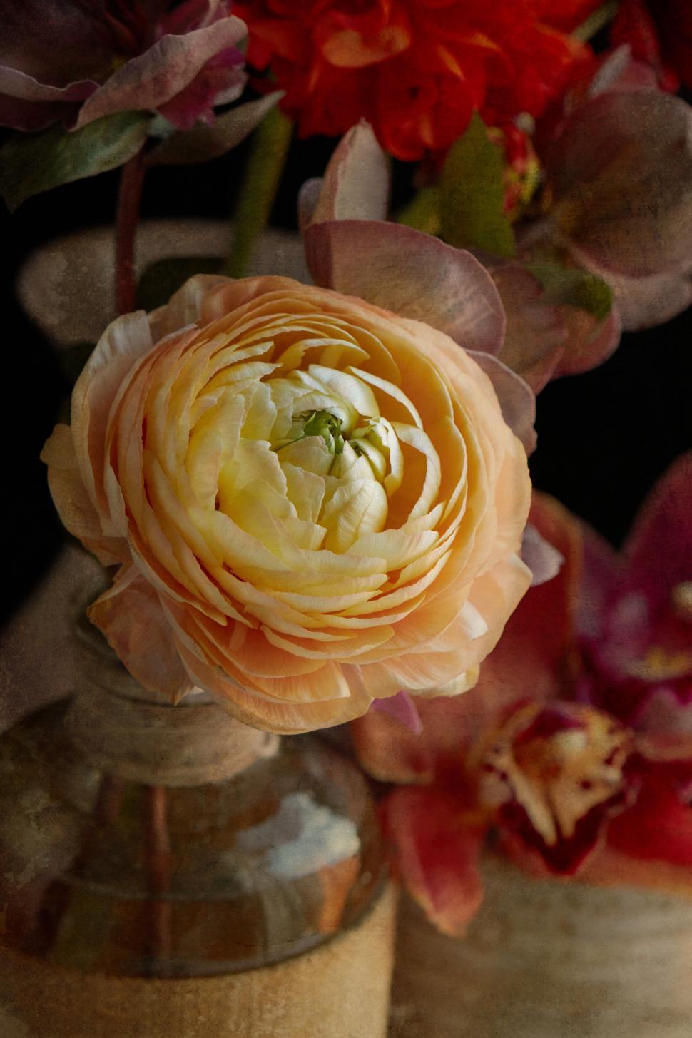 Free Image of Vintage Styled Floral Arrangement Still Life 