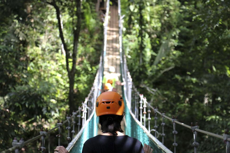 Free Image of Person crossing suspension bridge in forest 