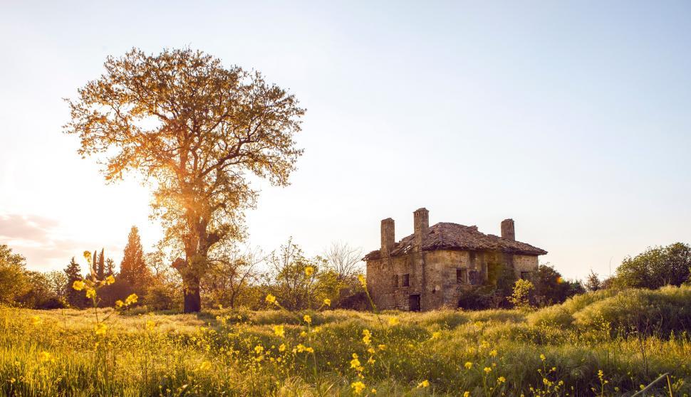 Free Image of Rustic old house in a blooming meadow 