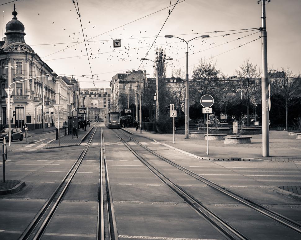 Free Image of Black and white tramway in a European city 