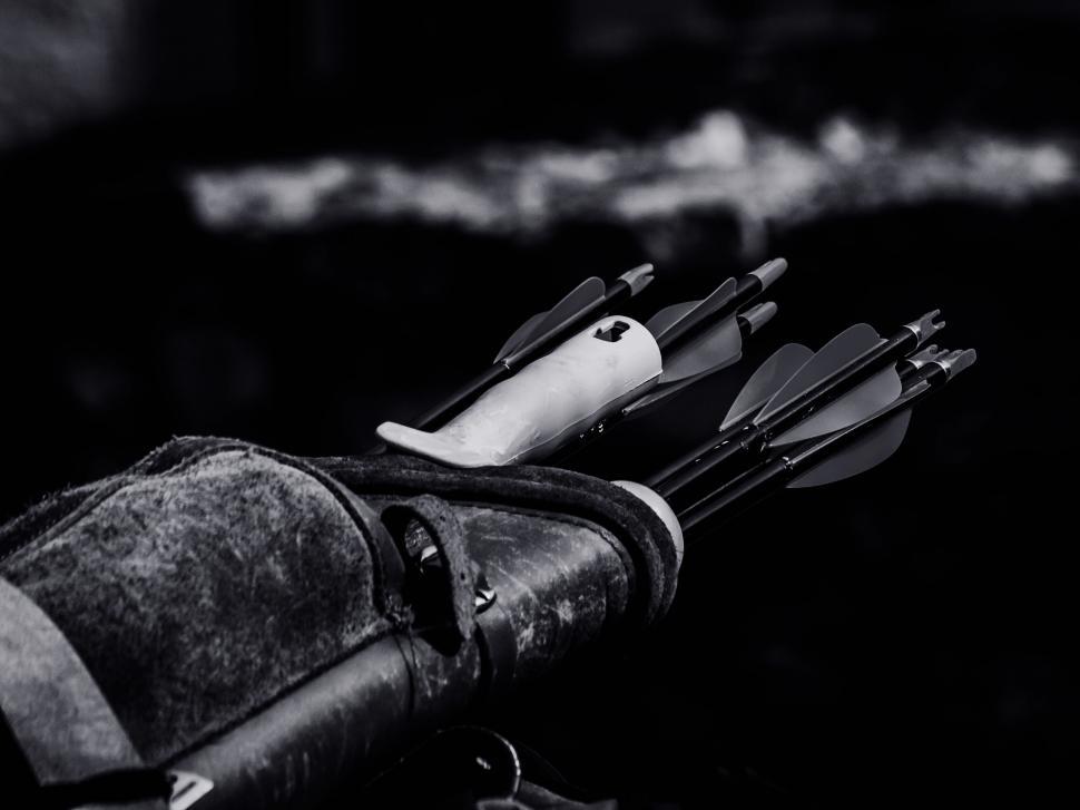 Free Image of Monochrome quiver of arrows in leather bag 