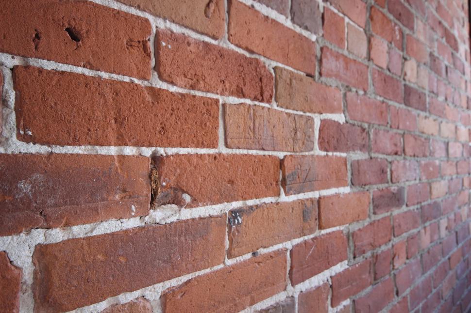 Free Image of Close-up texture of a red brick wall background 