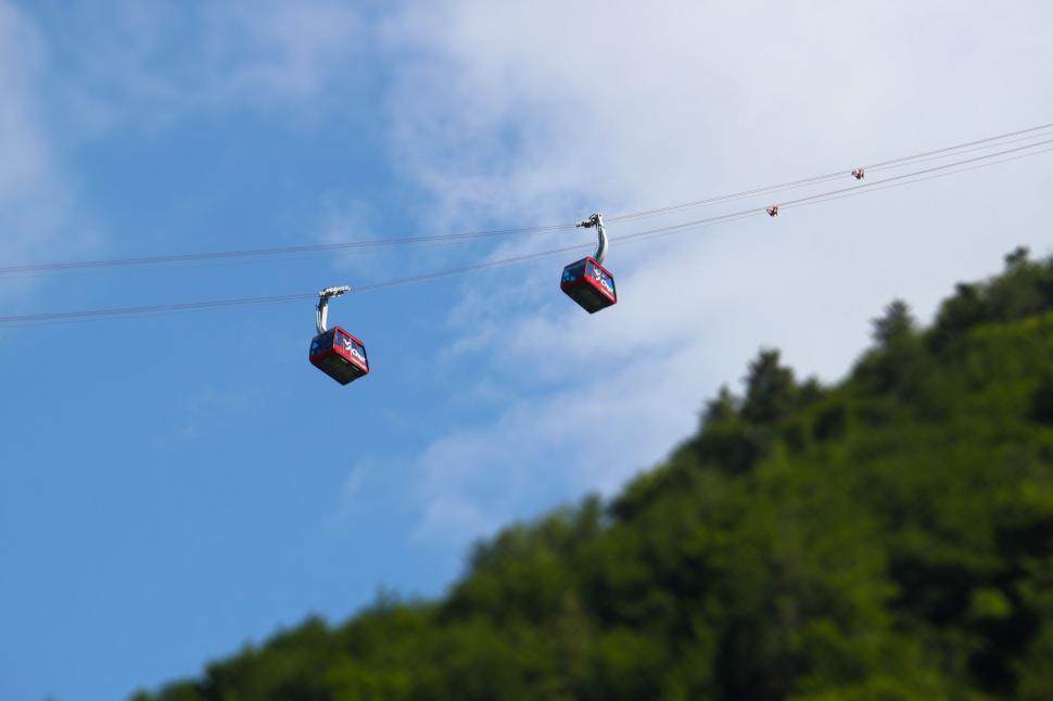Free Image of Aerial cable cars over lush green forest 