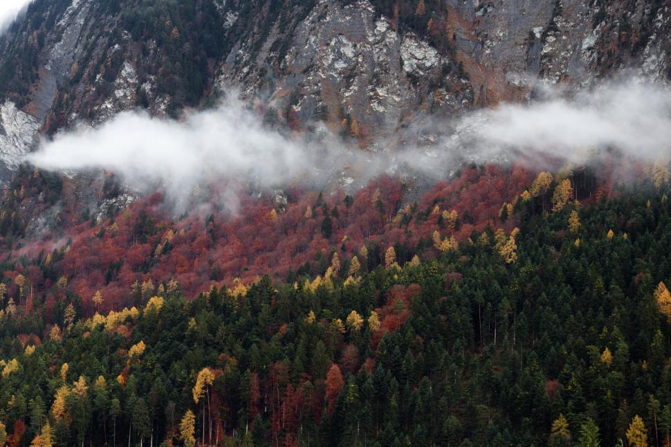Free Image of Autumn foliage on mountain with low fog patches 