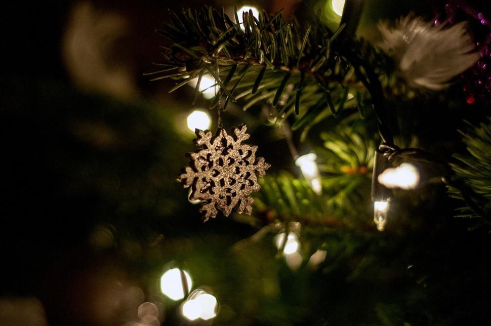 Free Image of Snowflake Christmas decoration on tree 