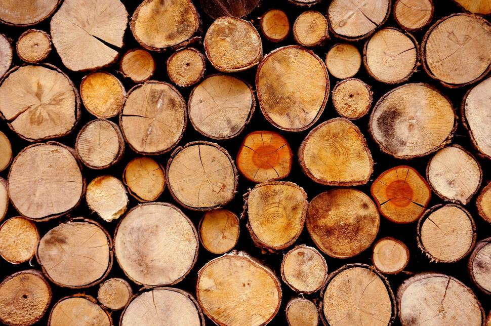 Free Image of Close-up of neatly stacked firewood 