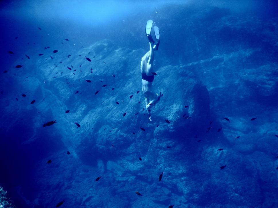 Free Image of Freediver surrounded by fish underwater 