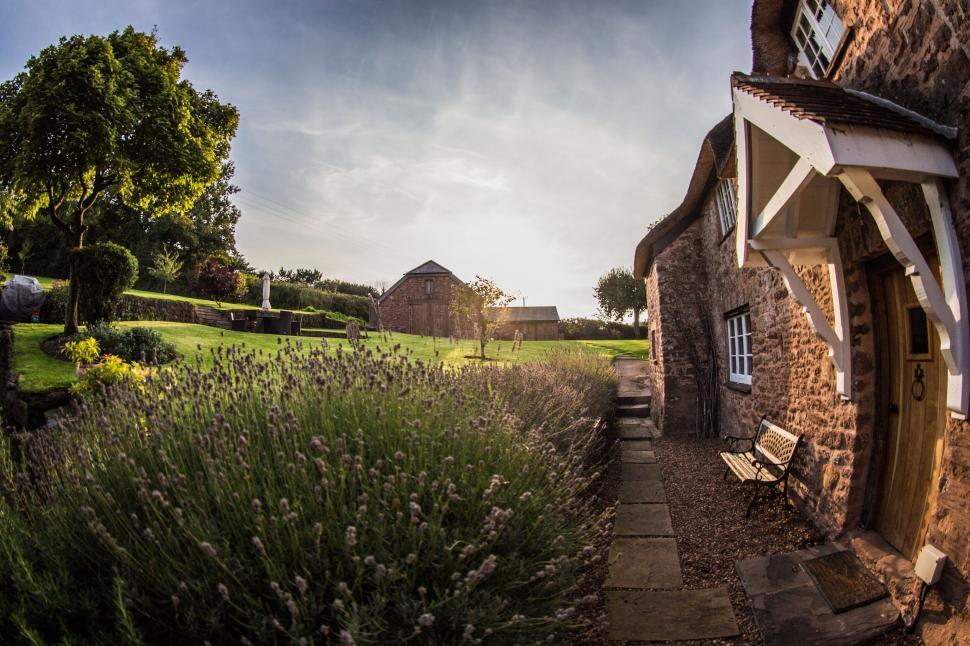 Free Image of English country house by lavender garden 