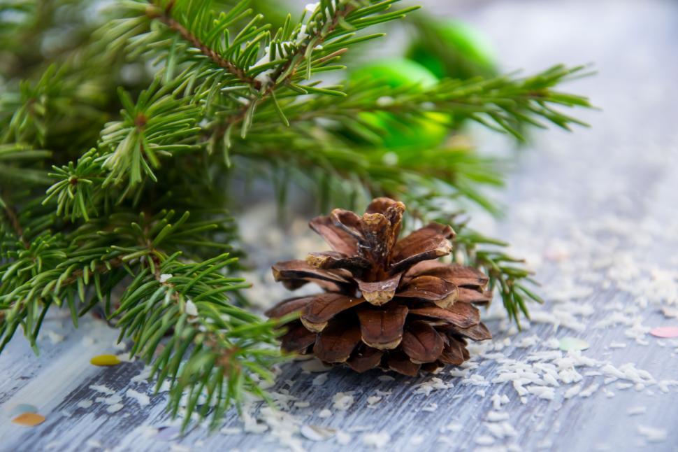 Free Image of Festive pine cone with Christmas spruce branches 
